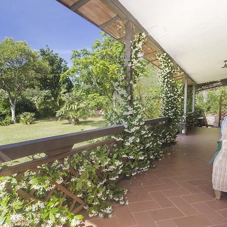 Villa Monserrato - Goelba 阿祖罗港 外观 照片
